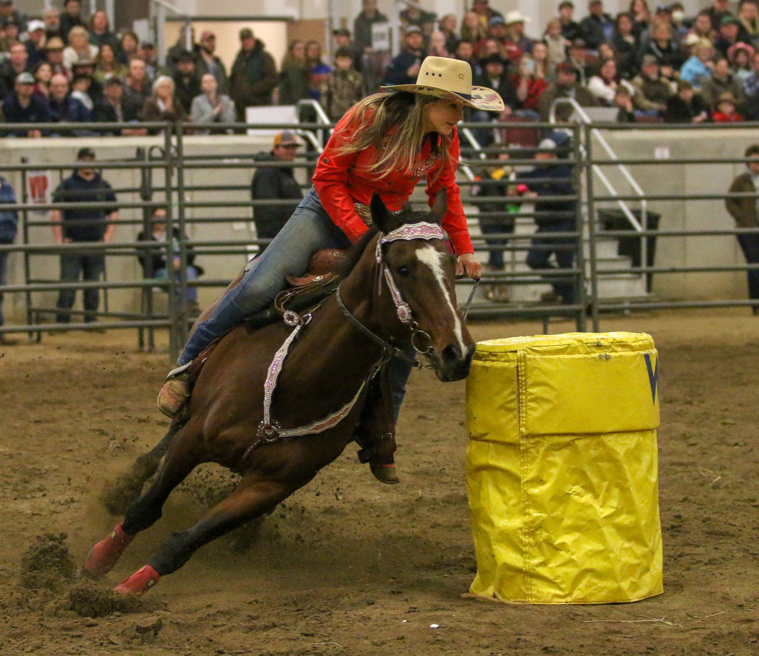 BullBash-53.JPG